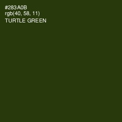 #283A0B - Turtle Green Color Image